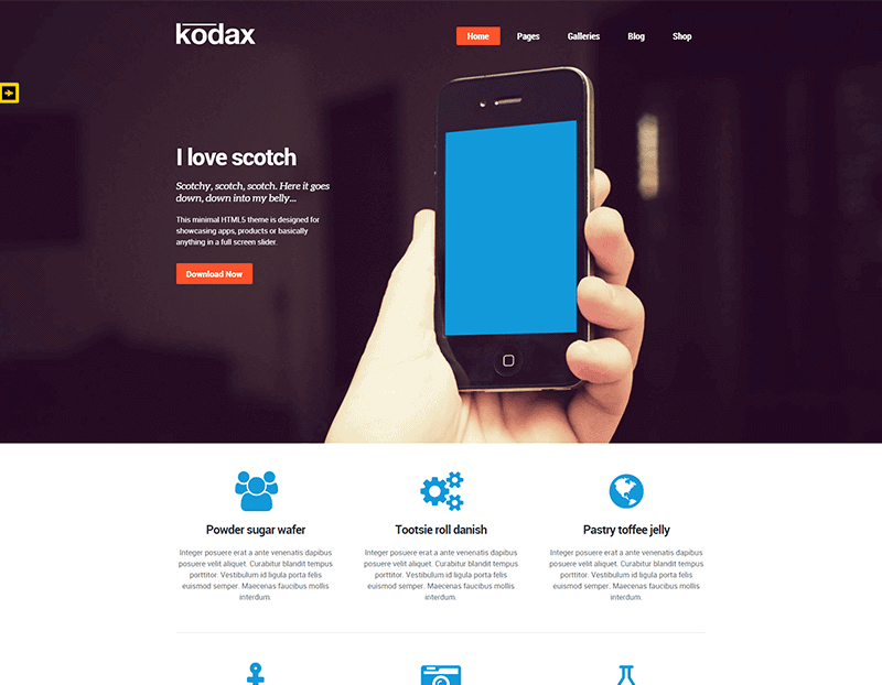 Kodax WordPress Theme