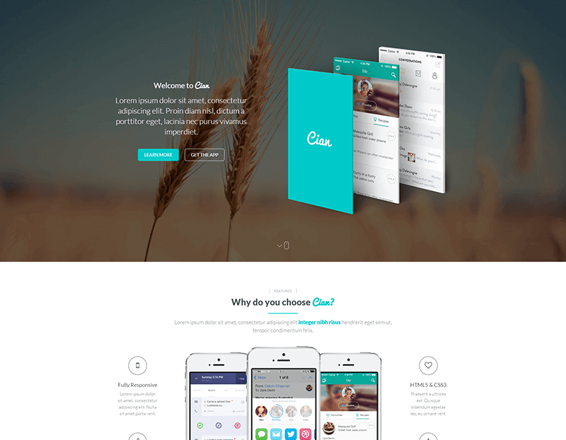 Cian WordPress Theme