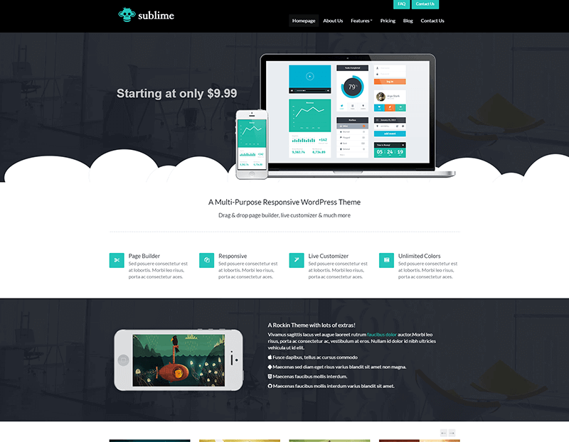 Sublime WordPress Theme