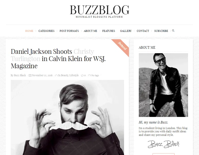 Buzzblog-Theme